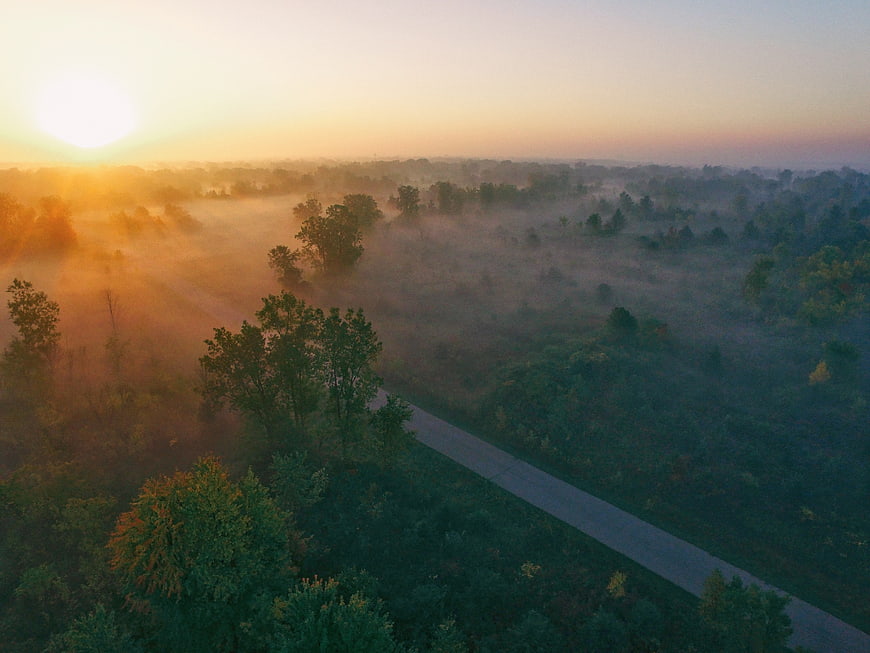 Aerial View of Misty Forest Road at Sunrise