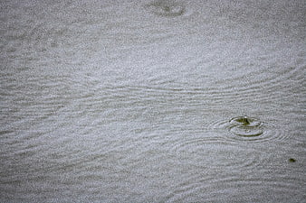 Raindrops creating ripples on a calm water surface