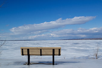 Empty wooden bench overlooking frozen lake in winter