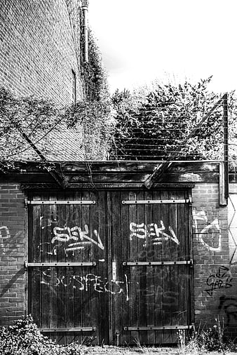 Black and white photo of graffiti-covered wooden gate