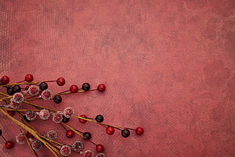 Frosted red and black berries on textured pink background