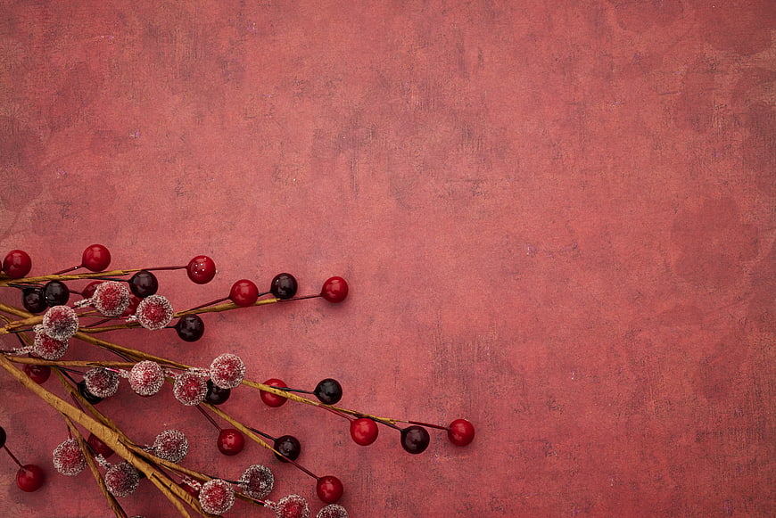 Frosted red and black berries on textured pink background