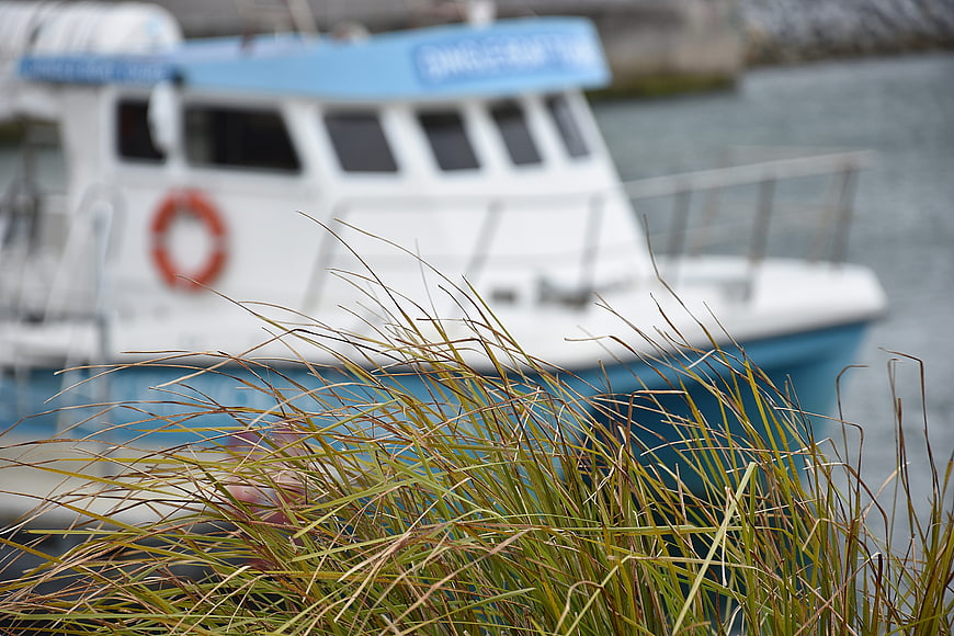 Boat Blurred Behind Tall Grass