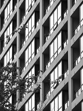 Black and white modern building facade with geometric window pattern