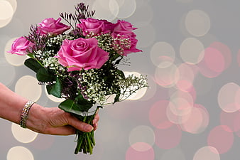 Hand Holding Pink Roses with Bokeh Background