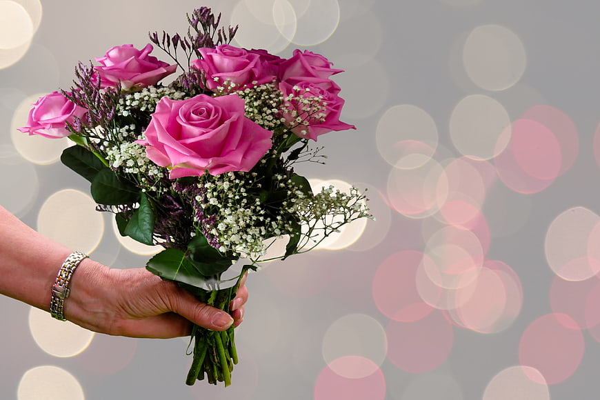 Hand Holding Pink Roses with Bokeh Background