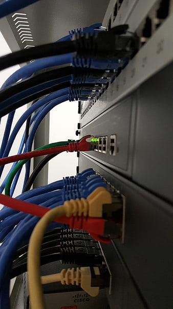 Close-up of Cisco network switch with blue and red ethernet cables