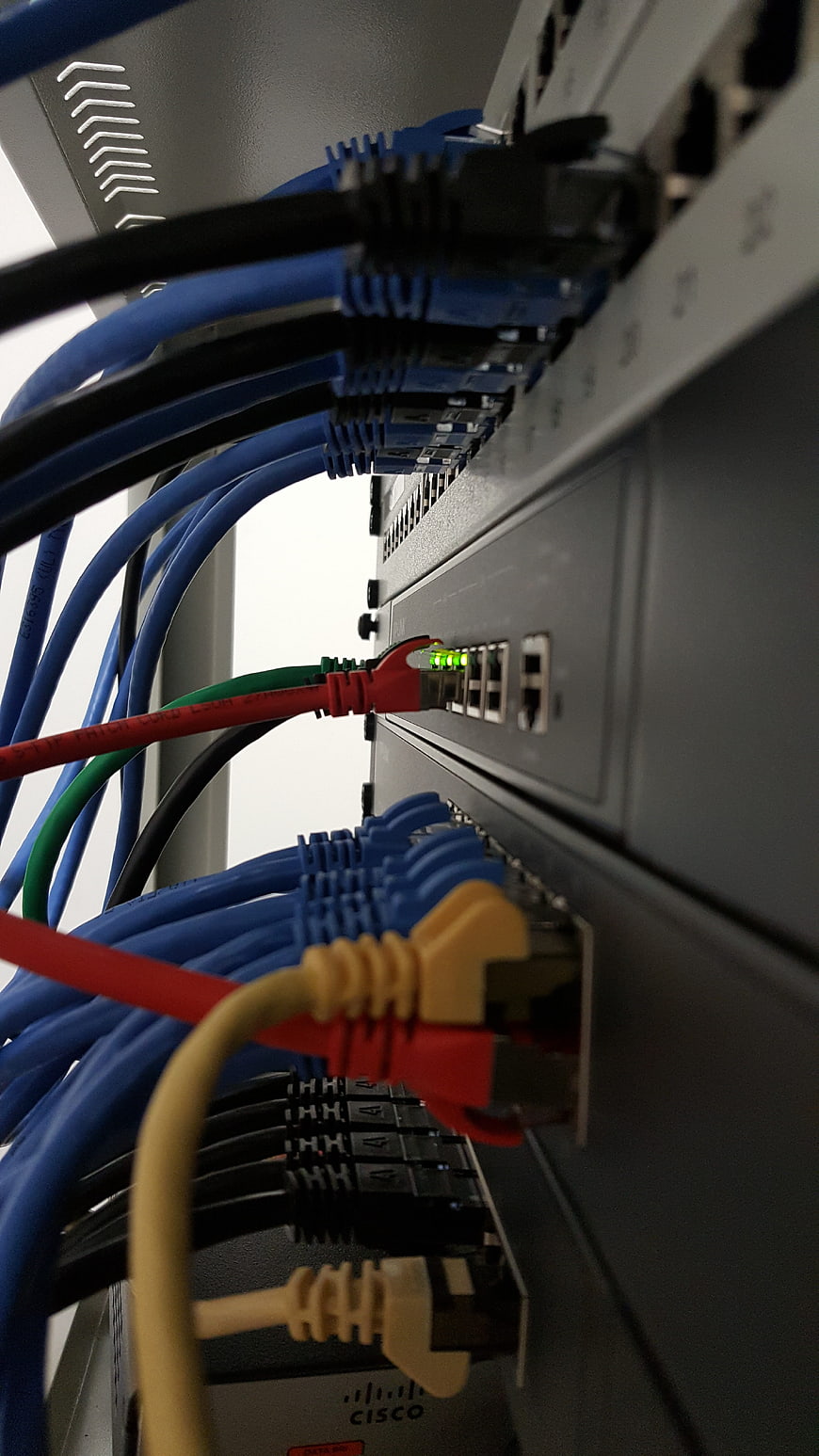 Close-up of Cisco network switch with blue and red ethernet cables