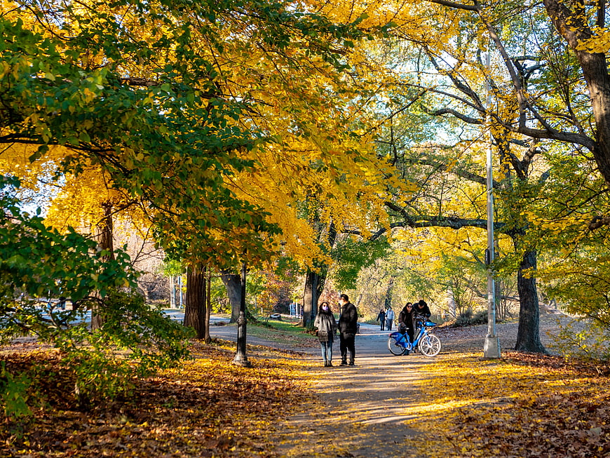 People Walking and Cycling on Autumn Park Path