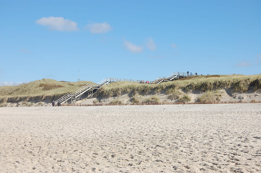 Sandy Beach with Wooden Stairs Leading to Dunes
