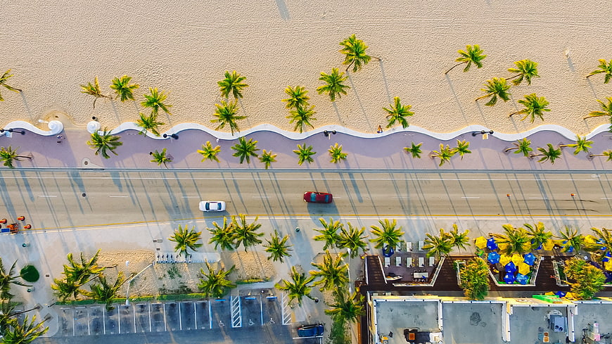 Aerial View of Tropical Beach Road with Palm Trees and Cars