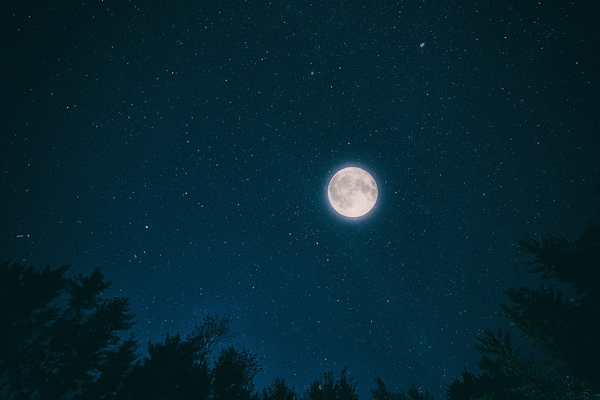 Full Moon Rising Over Dark Forest Silhouette at Night