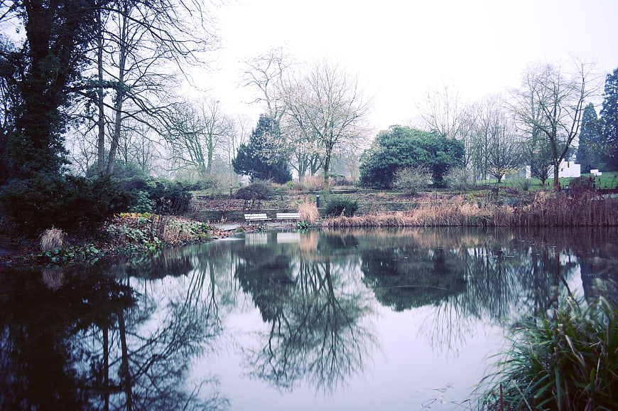 Serene Pond Reflection in Misty Winter Park