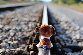 Small brown teddy bear sitting on railway tracks looking away