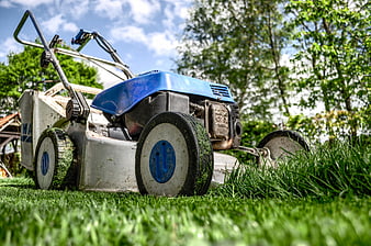 Blue Lawn Mower on Green Grass Garden