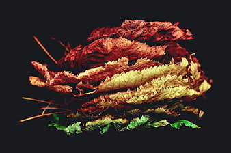 Stack of dried autumn leaves on black background