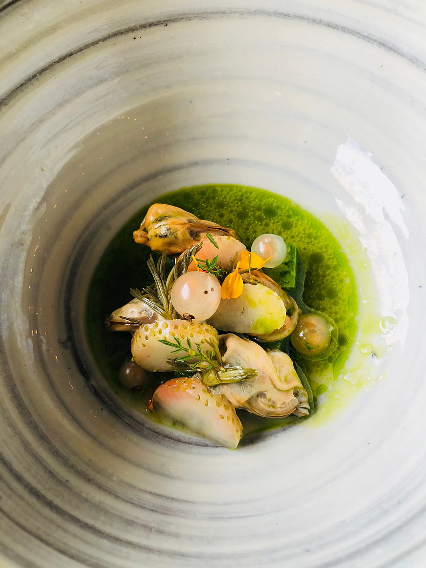 Gourmet mussels and berries in green sauce overhead