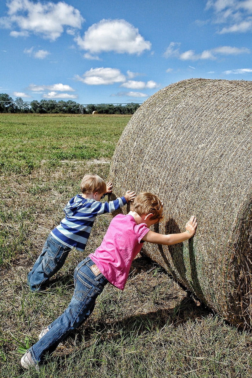 Two young boys pushing a large round hay bale in a field