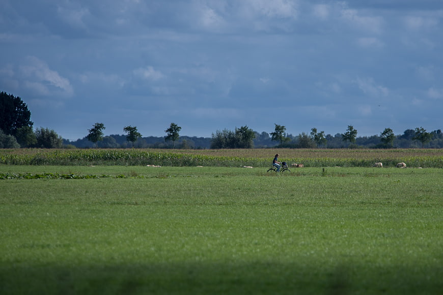 Cyclist riding through vast green meadow under cloudy sky