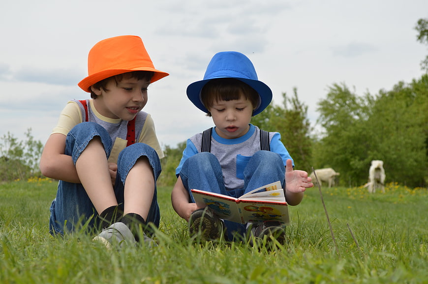 Two young boys reading a book in a grassy meadow