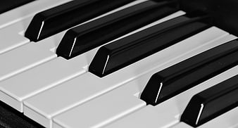 Close-up of black and white piano keys