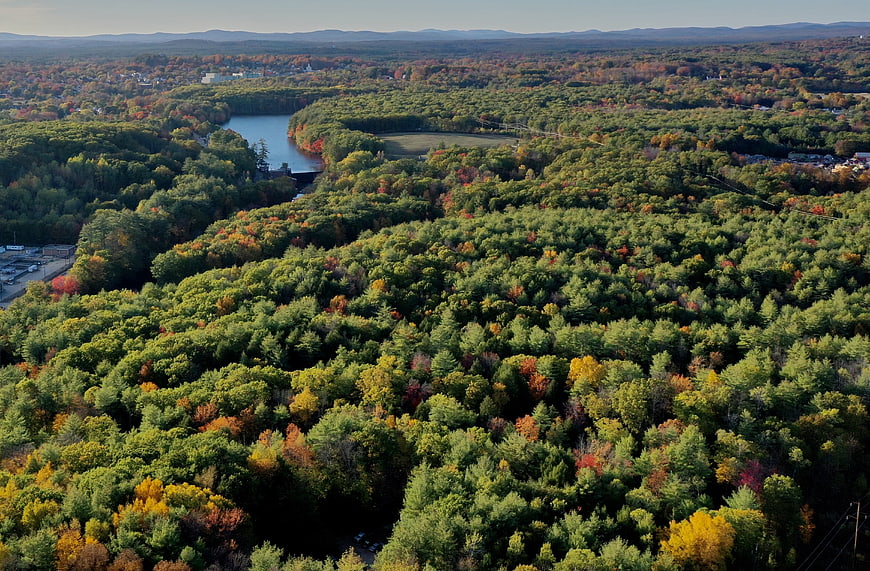 Aerial View of Autumn Forest with River and Mountains
