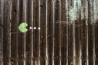 Pac-Man graffiti on weathered wooden fence planks
