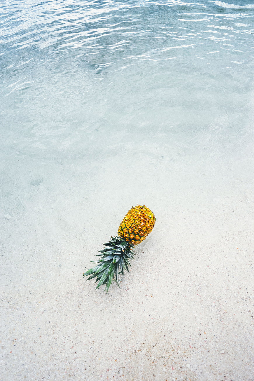 Lone pineapple on white sand beach near ocean water