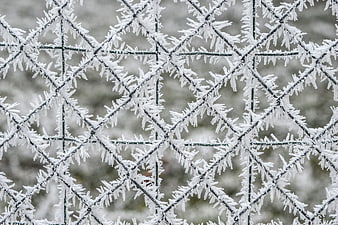Frost-covered chain-link fence in winter