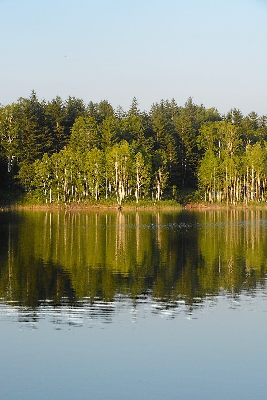 Serene Lake Shumarinai Reflections in Hokkaido Forest