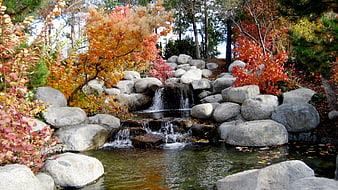 Serene Autumn Garden Waterfall with Colorful Foliage