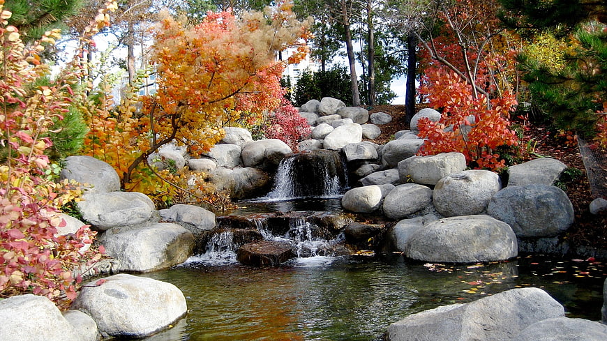 Serene Autumn Garden Waterfall with Colorful Foliage