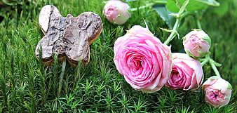 Pink Roses and Wooden Cross on Green Moss