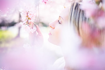 Woman smelling pink cherry blossoms in spring