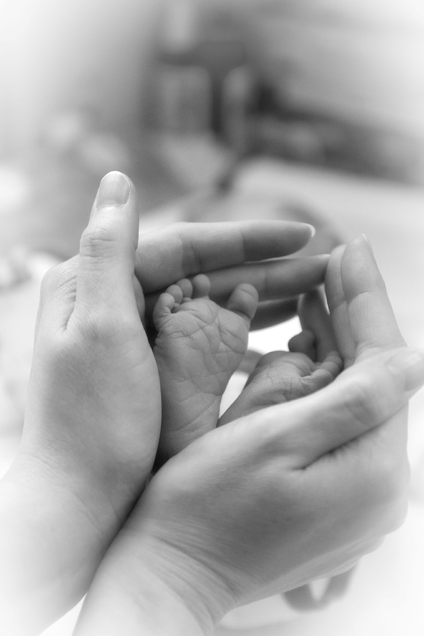 Black and white photo of adult hands holding baby feet
