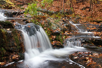 Long Exposure Autumn Stream in Forest