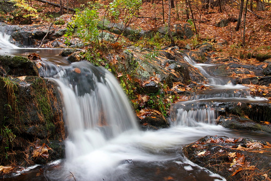 Long Exposure Autumn Stream in Forest