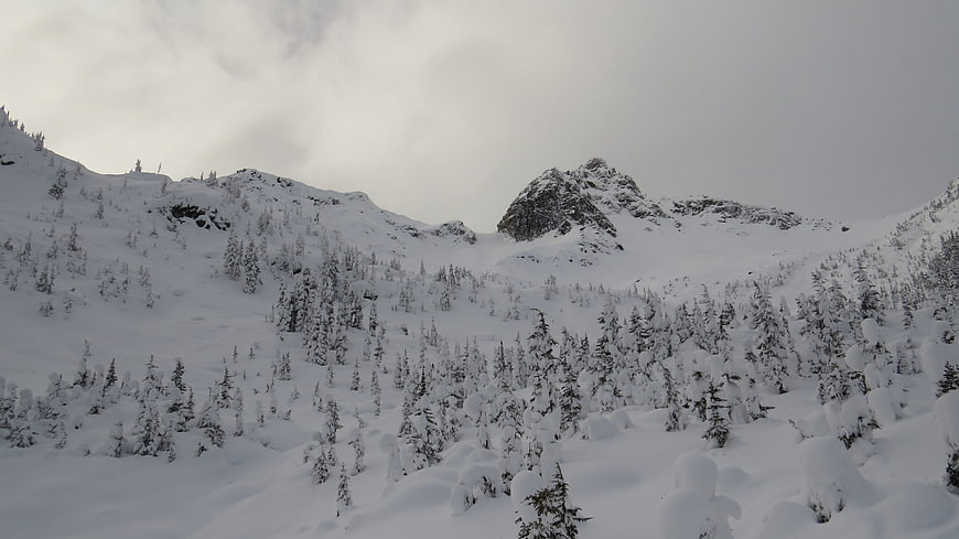 Snowy Mountain Landscape with Pine Trees in Winter