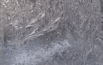 Abstract Frost Patterns on Frozen Window Glass
