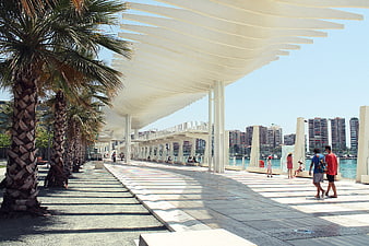 Modern white architectural canopy over waterfront promenade with palm trees