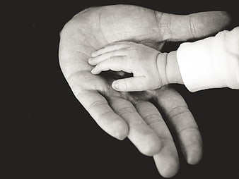 Black and white photo of baby hand in adult palm
