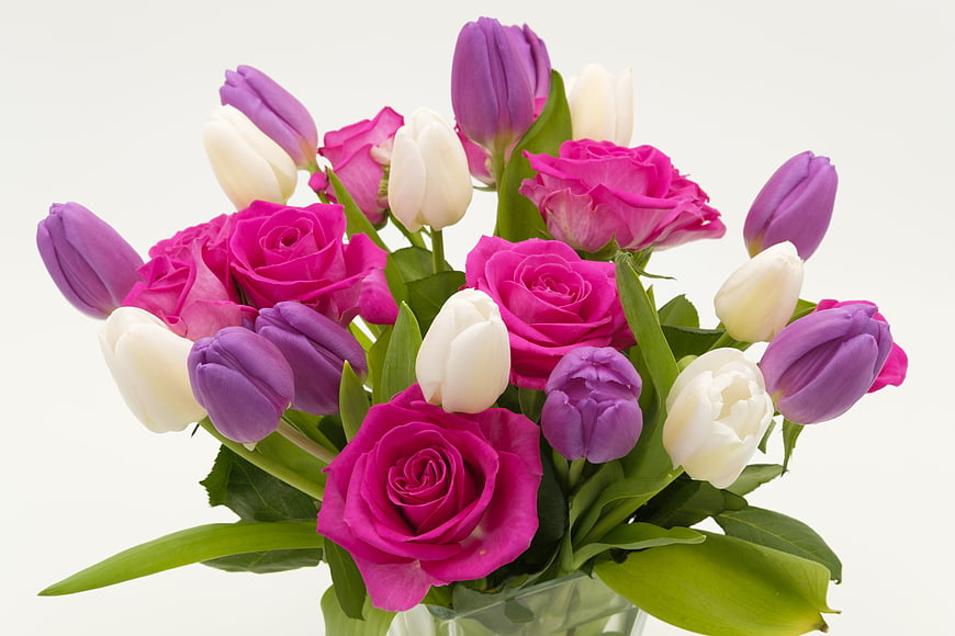 Vibrant bouquet of pink roses and purple tulips in a glass vase