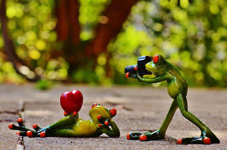 Cute frog figurines photography scene with heart