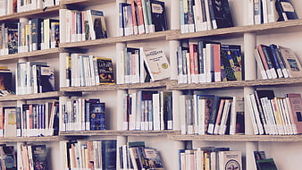 Colorful books on wooden shelves in a library