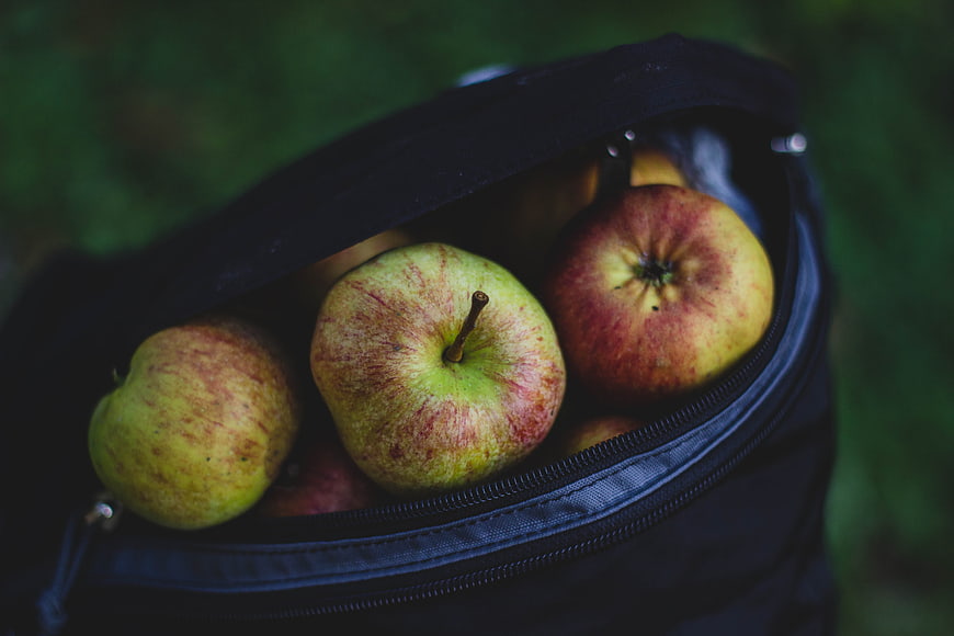 Fresh Apples in a Black Bag on Green Grass
