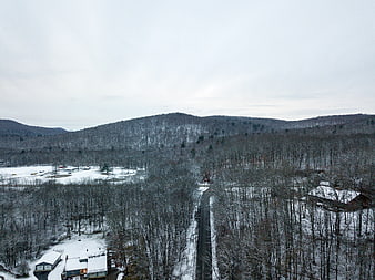 Aerial view of snowy forest road and winter landscape