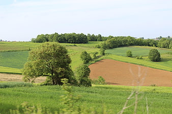 Rolling green hills and plowed field in rural Turkish countryside