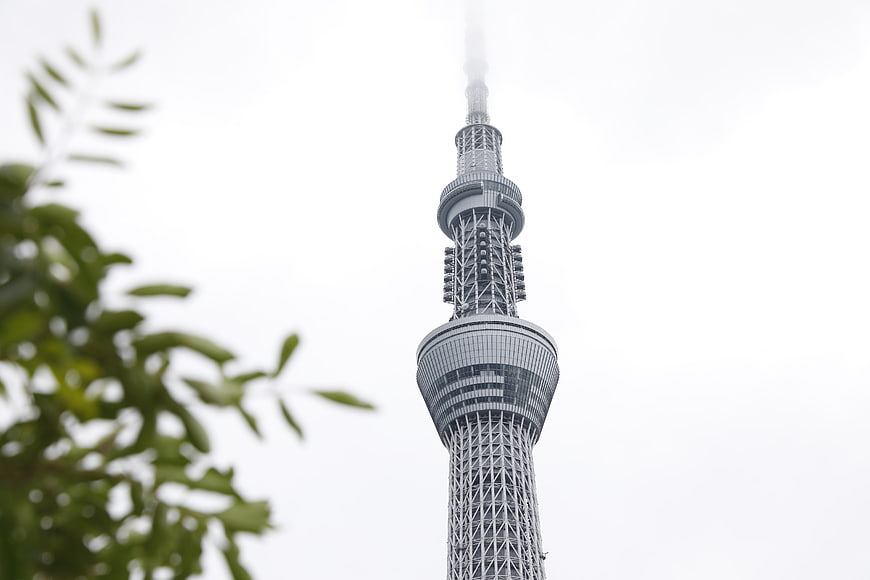 Tokyo Skytree Tower Against Overcast Sky with Foreground Leaves