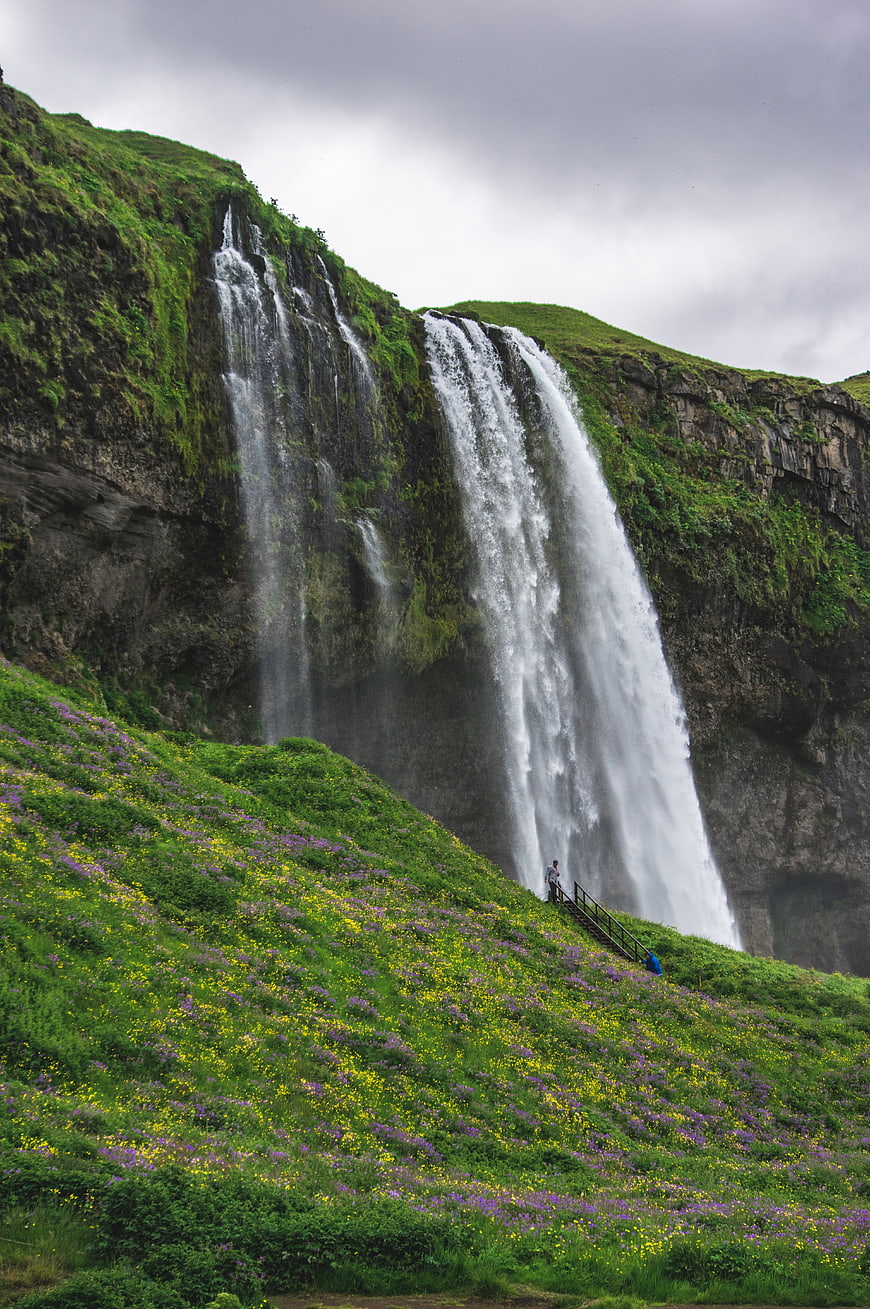 Majestic waterfall cascading over mossy cliffs with wildflowers