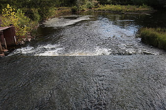 Flowing River with Small Dam and Lush Green Banks